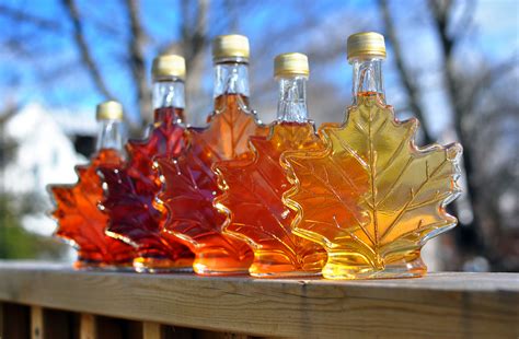 taking maple syrup across canada.